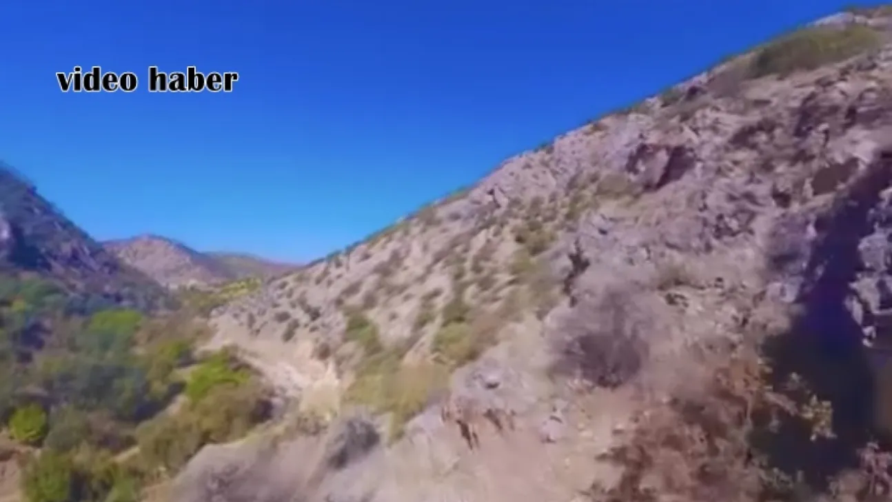 Gökyüzünden Doğal Şölen: Yaban Keçileri Doğanşehir Dağlarında