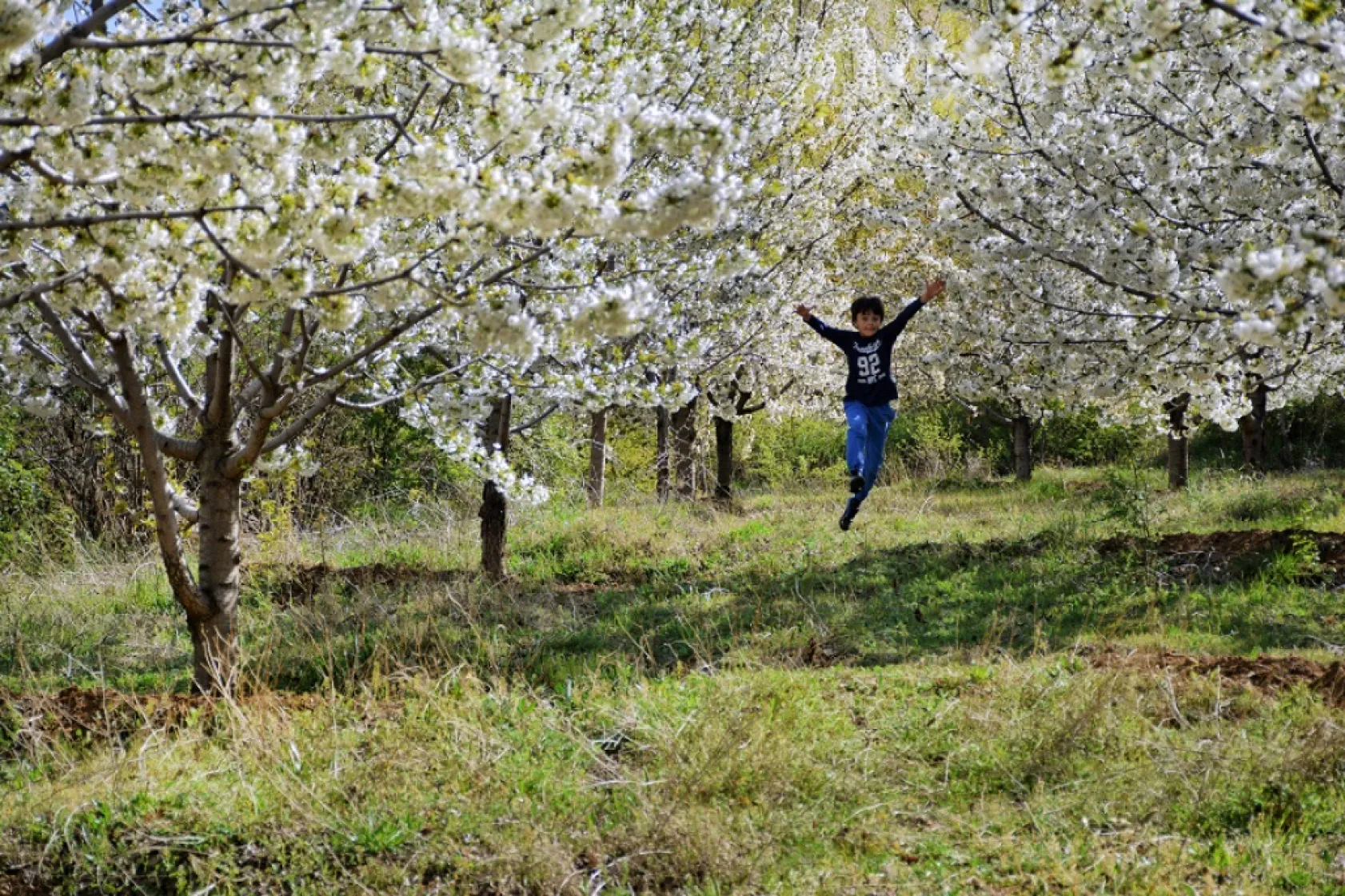 Fotoğraflarla Yeşilyurt