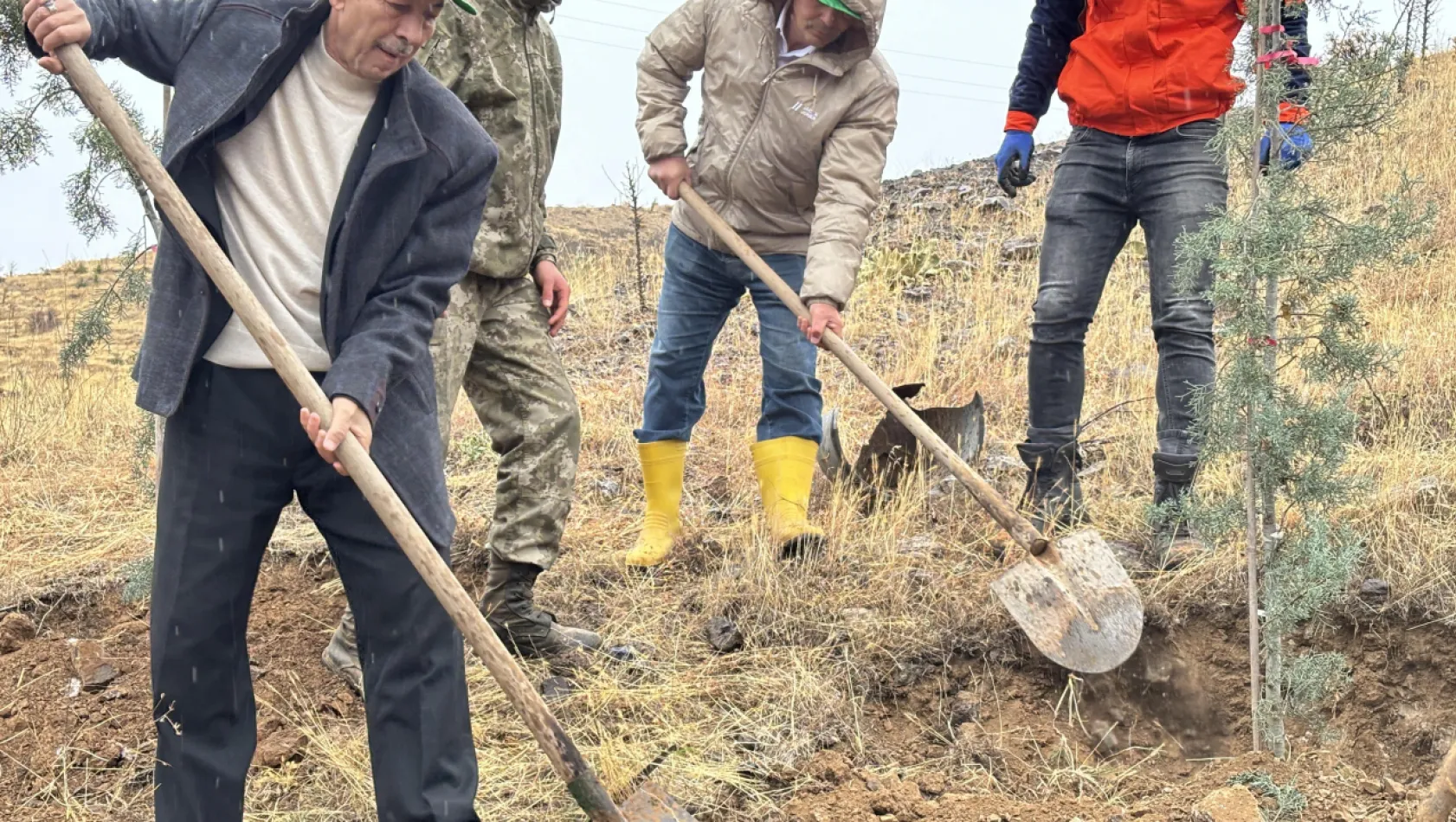 Arapgir'de 11 Kasım Milli Ağaçlandırma Günü kapsamında onlarca fidan toprakla buluştu.