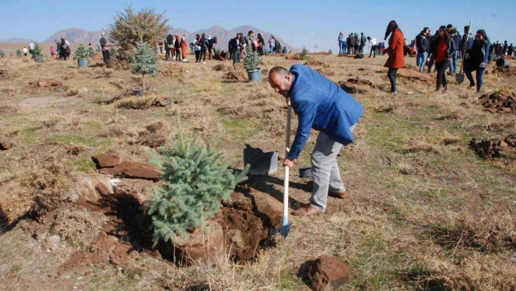 Bu yıl fidanlar Filistin'de devam eden soykırım anısına dikildi