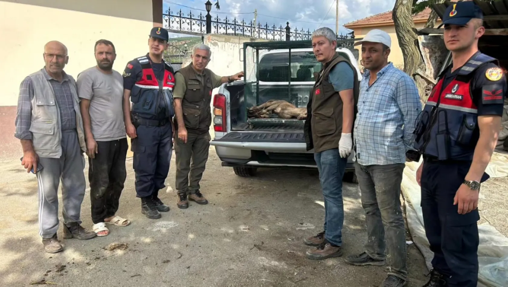 Yaralı Halde Bulunan Dağ Keçisi Tedavi Altına Alındı