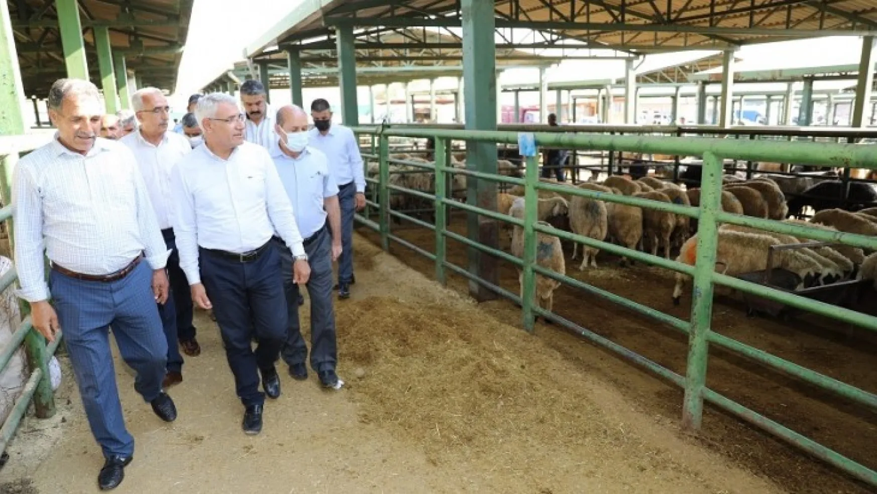 Başkan Güder, Canlı Hayvan Pazarı'nı Ziyaret Etti
