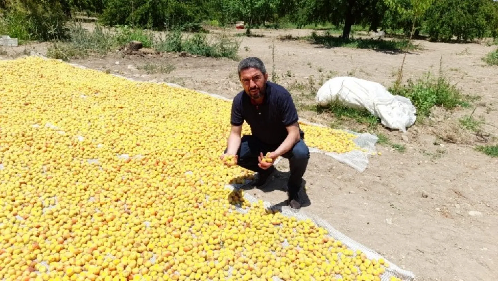 Başkan Kiraz: 'AKP, çiftçiyi kaderiyle baş başa bırakıyor'