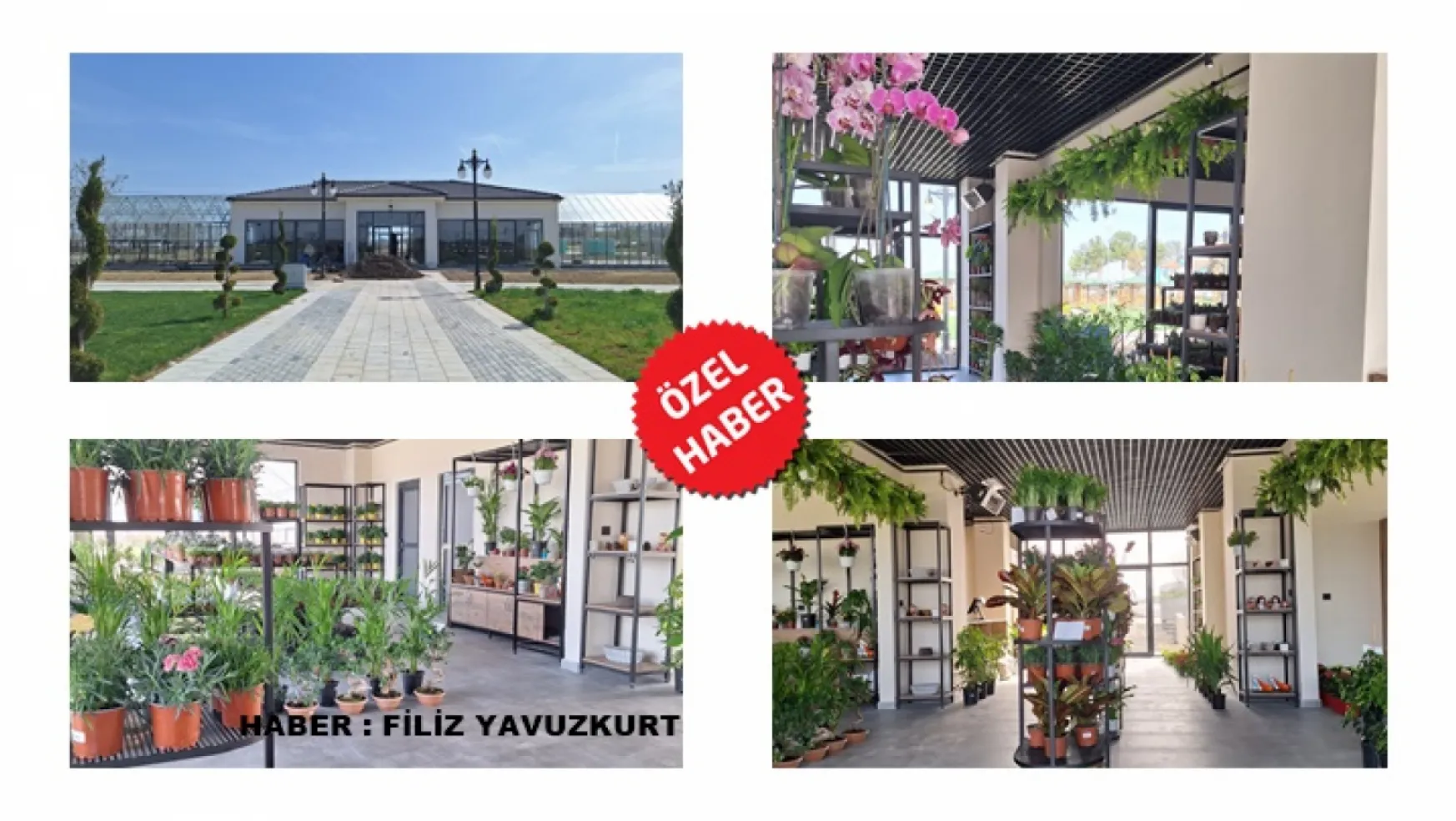Battalgazi'nin Yeni Cazibe Merkezi 'Botanik market'