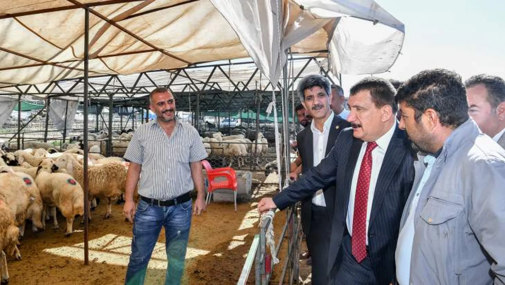 Başkan Gürkan Canlı Hayvan Pazarında İncelemelerde Bulundu