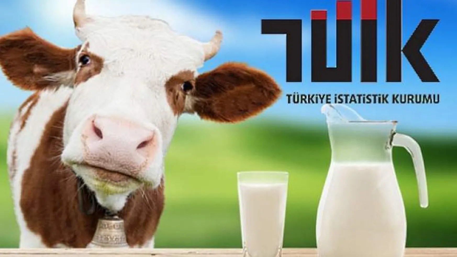 Süt ve Süt Ürünleri Üretimi,