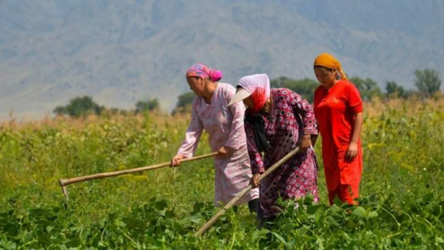 15 Ekim Dünya Kadın Çiftçiler Günü…