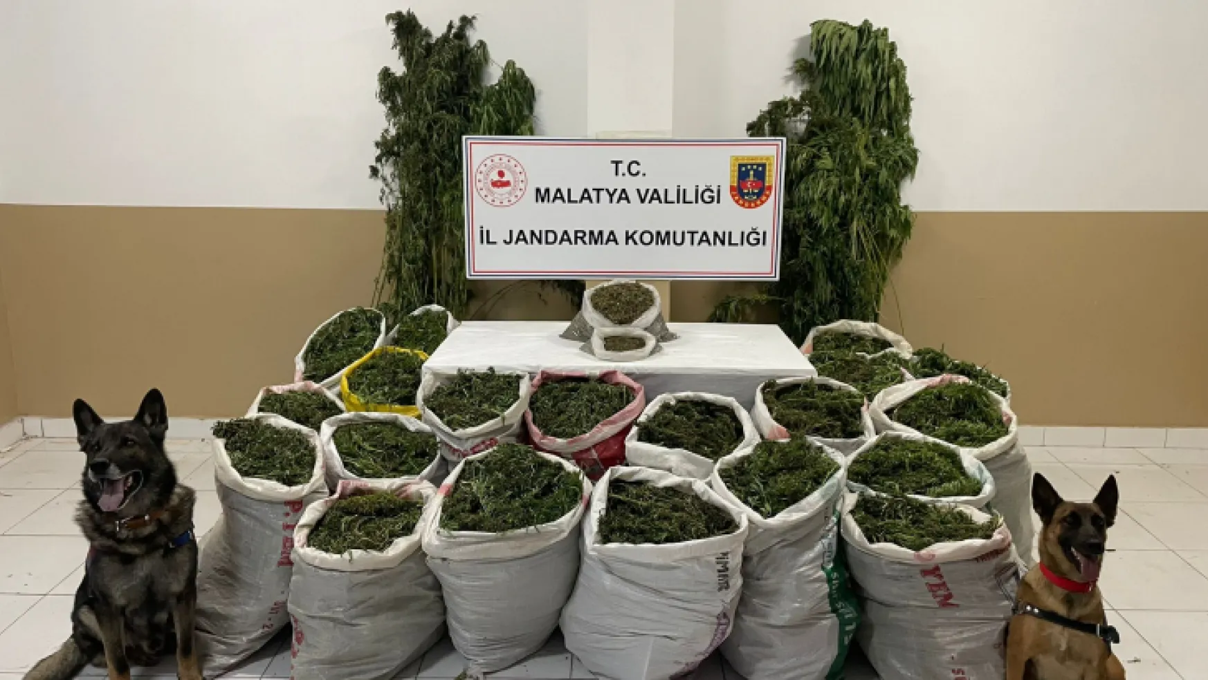 Jandarma'dan Yeşilyurt Dilek Mahallesine Uyuşturucu Operasyonu