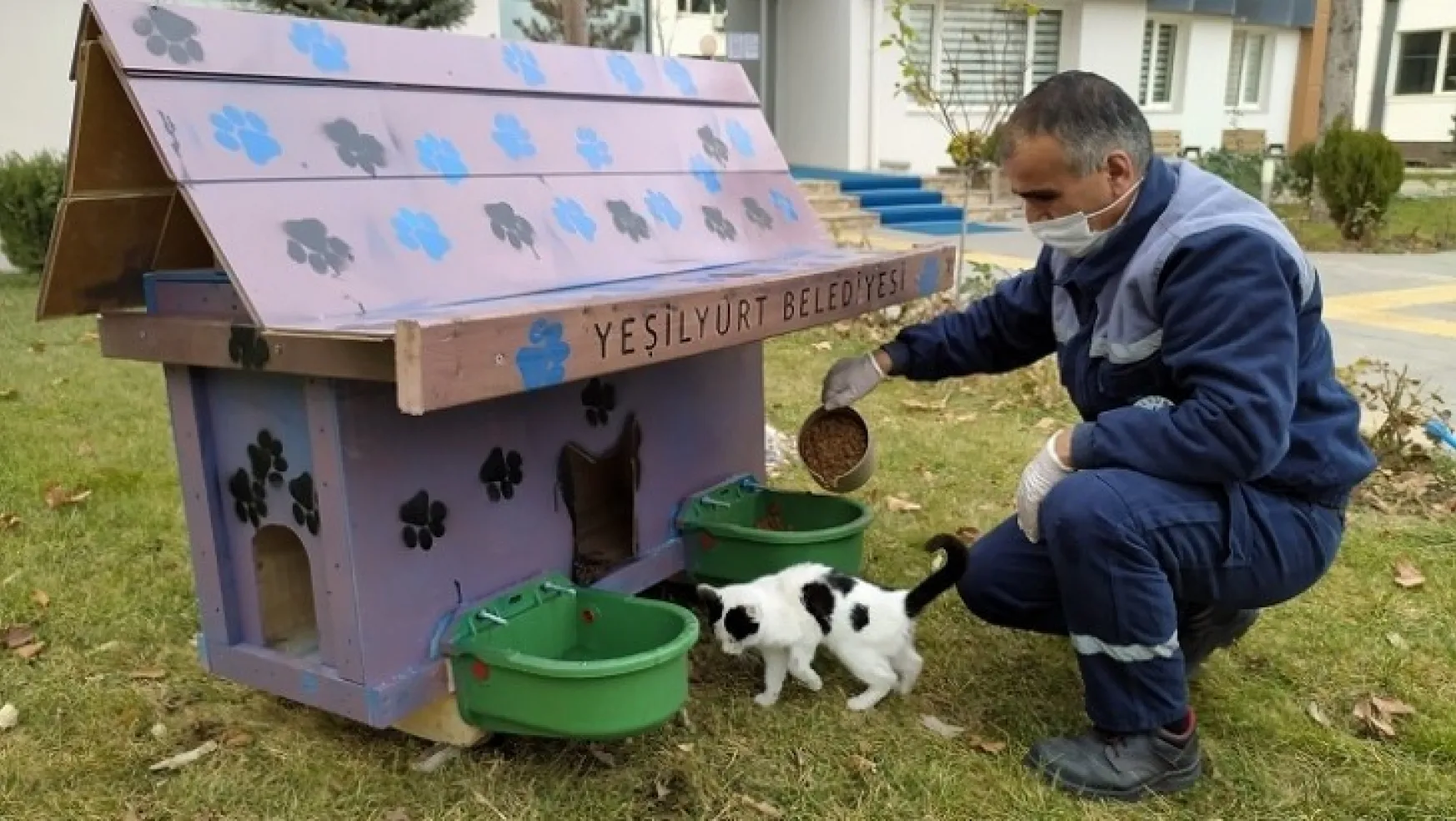 Yeşilyurt Belediyesi, Sokak Hayvanları İçin 'Kedi Ve Köpek Evleri' Projesini Başlattı