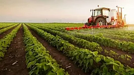 Tarım-ÜFE Ağustos'ta Yüzde 0,93 Geriledi
