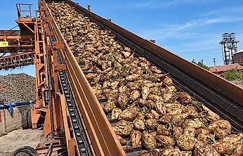 3 Bin 720 Liralık Pancar Fiyatı Tartışma Yarattı