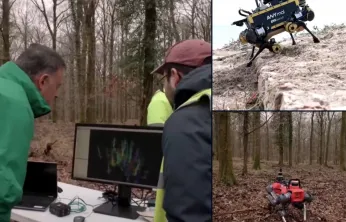 6G destekli robot köpekler orman yangınlarını yapay zeka ile önceden tespit edecek