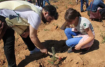 7 Ağaç Ormanları ile Her Ay 10 Bin Fidan
