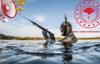 Amatör balıkçılar için sualtı avcılığında yeni zorunluluk