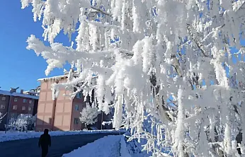 Antalya'ya Kuvvetli Yağış, Doğu'ya Çığ Tehlikesi