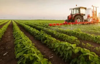 Aralık 2025'te Tarım ÜFE Aylık Yüzde 3,06, Yıllık Yüzde 36,01 Arttı