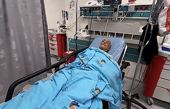 Arıların Saldırısına Uğradı, Ölümden Döndü