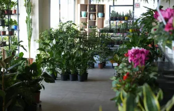 Battalgazi Belediyesi'nden Vatandaşların Yaşam Kalitesini Artıran Hizmetler