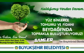 Beydağları'nda Yeşil Alanlar Artıyor: 25 Kasım'da Fidan Dikimi Etkinliği