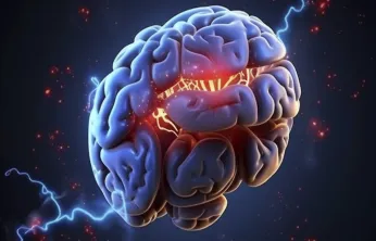 Beyin, Kas ve Kemik Lifleri İlk Kez Ayrıntılı Haritalandı