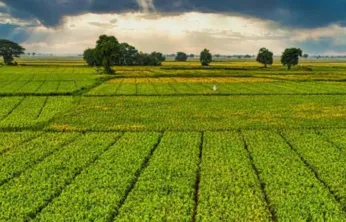 Bir milyar 46 milyon liralık tarımsal destek ödemeleri çiftçinin hesabına yatırılacak