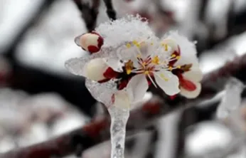 Çiftçilere Müjde: Zirai Don Desteği Bugün Yatıyor