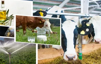 Çiftçilere tarımsal destekleme ödemesi yapılacak