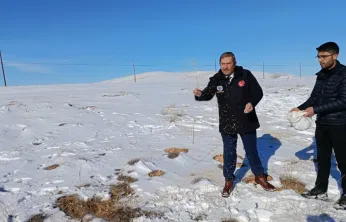 Darende Belediyesi Zorlu Kışta Yaban Hayatını Unutmadı