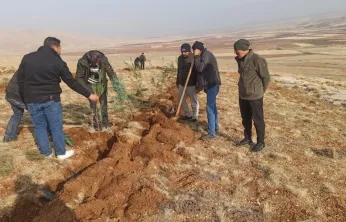 Darende'de Örnek Çevre Hareketi: Öğrenci ve Öğretmenlerden Fidan Desteği