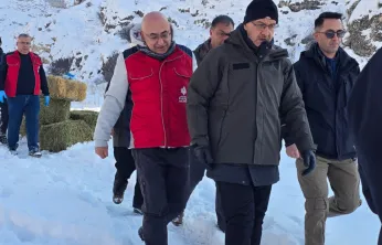 Doğa Dostu Dayanışma: Zorlu Kışta Can Dostlarımıza Umut