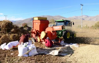 Doğanşehir'de Kuru Fasulye Hasadı Başladı