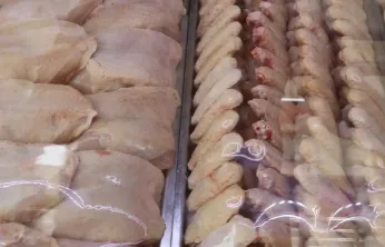 Ekimde Tavuk Eti Yükselişte, Yumurta Düşüşte