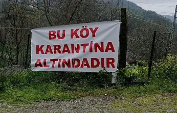 Elazığ'da Çiçek Hastalığı Alarmı! 6 Köyde Karantina