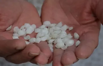 Eşkina Balığı Taşı Faydaları ve Kullanımı