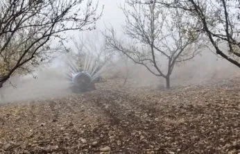 Gözene'de Kayısı Bahçelerinde Kış İlaçlama Mesaisi