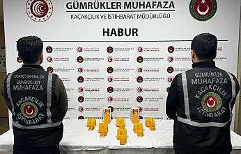 Habur'da Altın Kaçakçılığına Darbe: 41 Kilogram Altın Ele Geçirildi