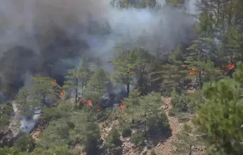 Hatay'da orman yangını: 2 mahalle tahliye edildi