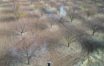 İl Müdürü Osman Akar'dan Kayısı Üreticilerine Sonbahar Uyarısı