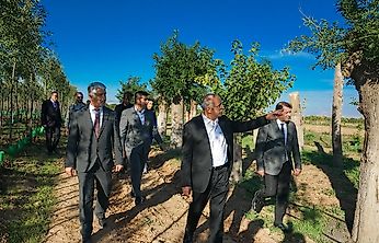 İstanbul'da Ağaç Tartışması, Malatya'nın Örneği Gündem Oldu