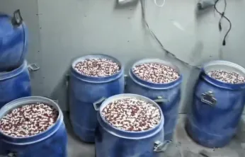 İstanbul ve İzmir'de uyuşturucu operasyonu: Milyonlarca hap ele geçirildi