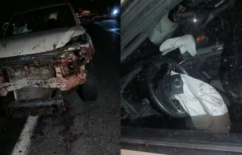 Karakoçan'da Kamyonet Koyun Sürüsüne Çarptı: 30 Hayvan Telef