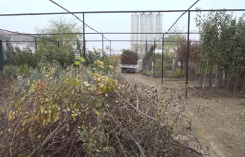 Malatya'da Afet Sonrası Büyük Kayıp: Fidanların Yarısı Hasarlı