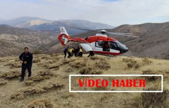 Malatya'da Ağaç Kesimi Sırasında Kaza: 49 Yaşındaki şahıs Uçuruma Yuvarlandı