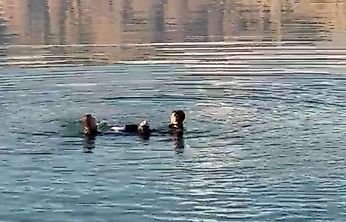 Malatya'da barajda erkek cesedi bulundu