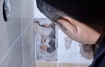 Malatya'da Duvar Arkasına Sıkışan Kedi İtfaiye Ekiplerince Kurtarıldı