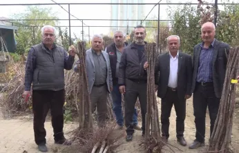 Malatya'da Meyve Fidanı Satış Sezonu Açıldı