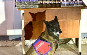 Malatya-Kayseri Yolunda Kaçak Sigara Operasyonu