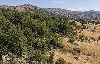 Malatya Kuluncak'ta Orman Sınırlarıyla İlgili Yeni Karar