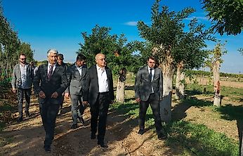 Malatya'nın Yeşil Dokusuna Büyükşehir Desteği: Üretim Merkezi Çalışıyor