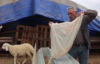 Malatya'nın Yüksek Rakımlı Yaylalarında Çobanların Hayatı Değişti